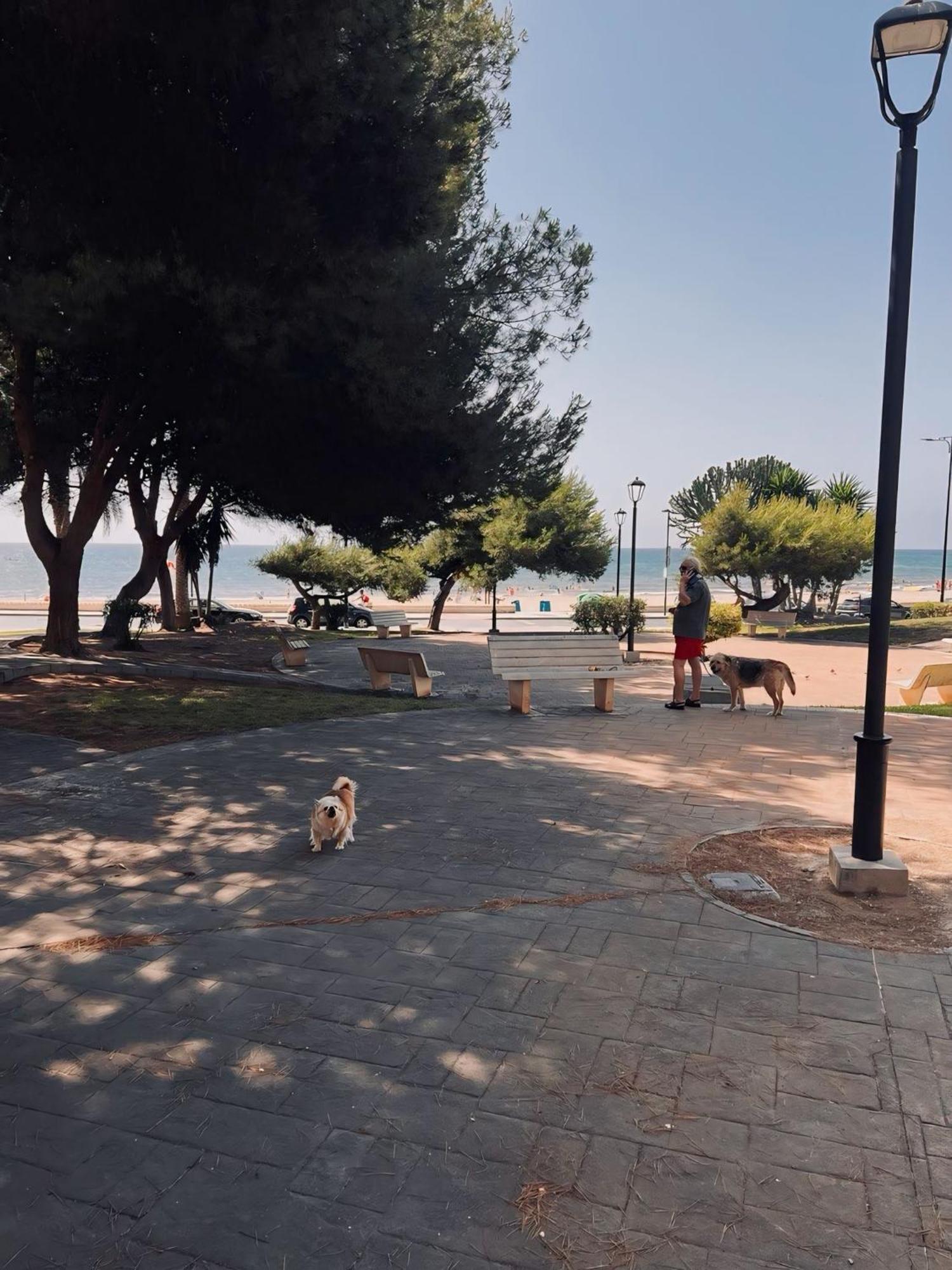 50 Pasos Hacia El Mar Appartement El Campello Buitenkant foto